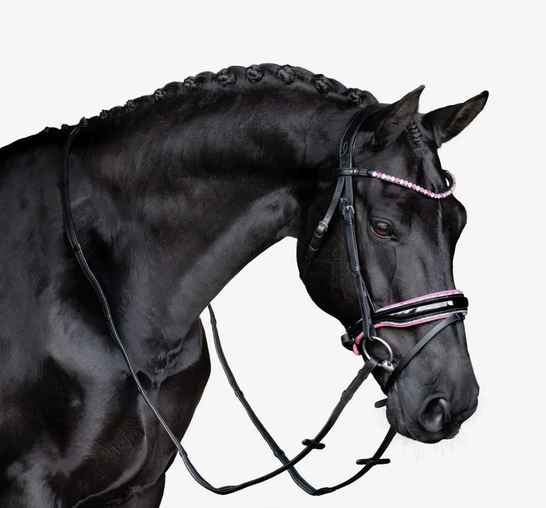 Lumiere Paloma Snaffle Bridle with removable flash