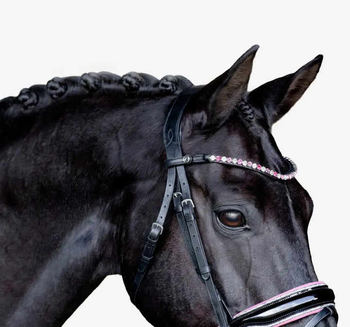 Lumiere Paloma Snaffle Bridle with removable flash
