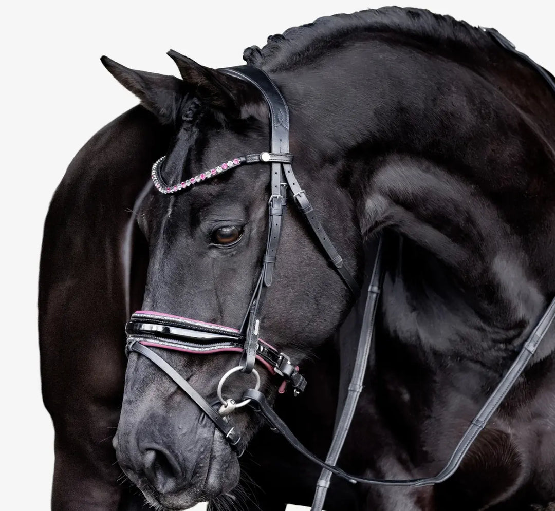 Lumiere Paloma Snaffle Bridle with removable flash