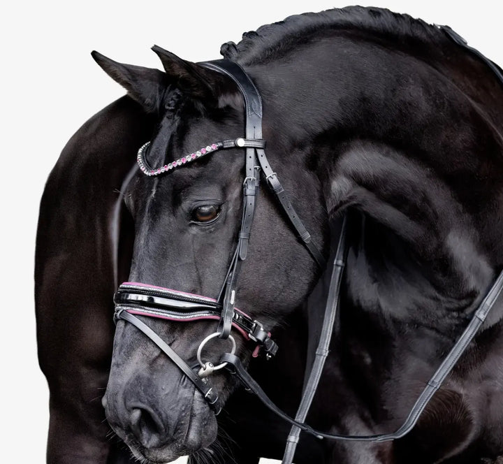 Lumiere Paloma Snaffle Bridle with removable flash