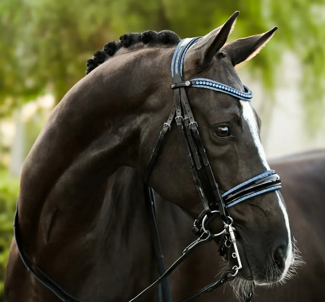 Lumiere Paris Double Bridle