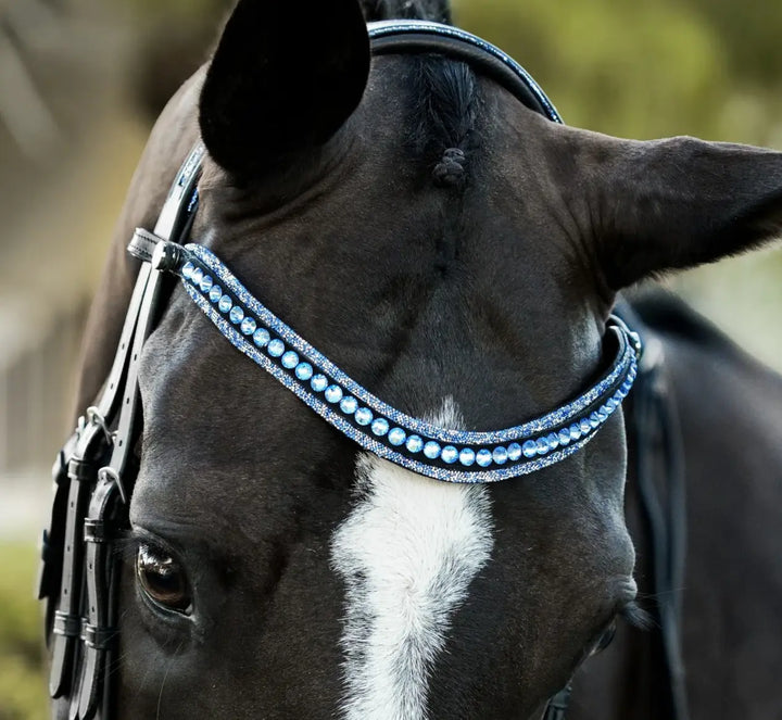 Lumiere Paris Double Bridle