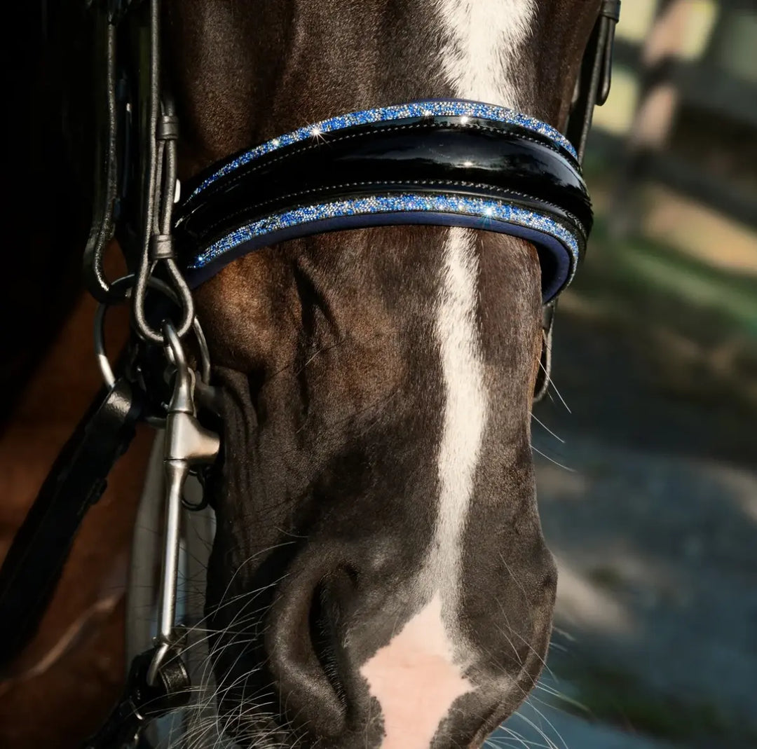 Lumiere Paris Double Bridle