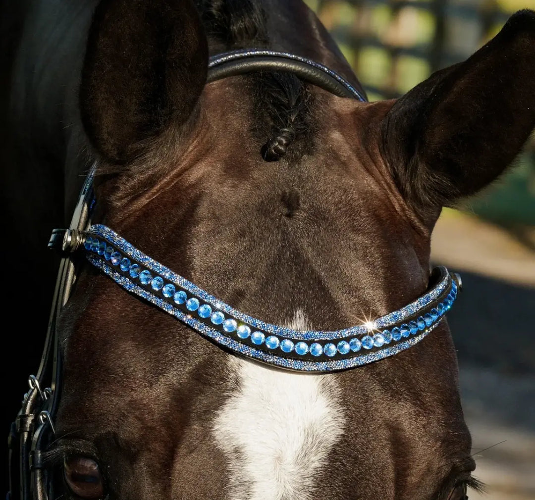 Lumiere Paris Double Bridle