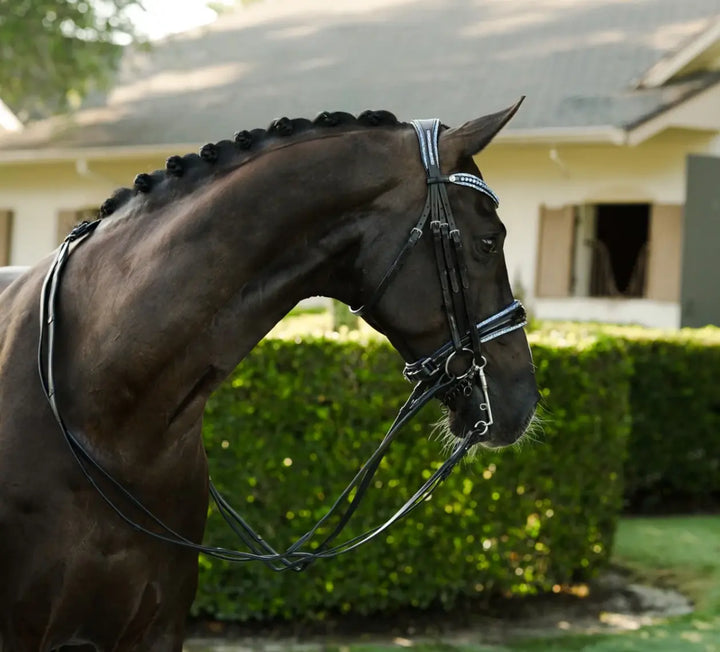 Lumiere Paris Double Bridle