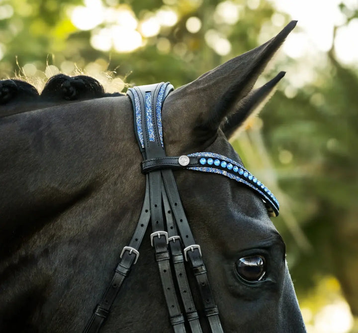 Lumiere Paris Double Bridle