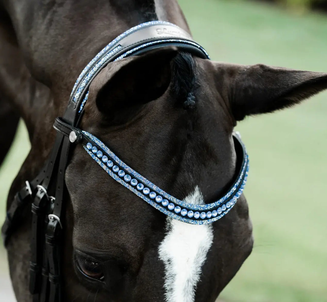 Lumiere Paris Double Bridle
