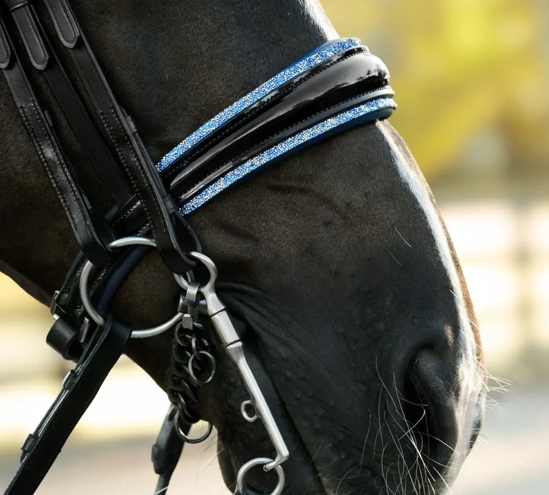 Lumiere Paris Double Bridle
