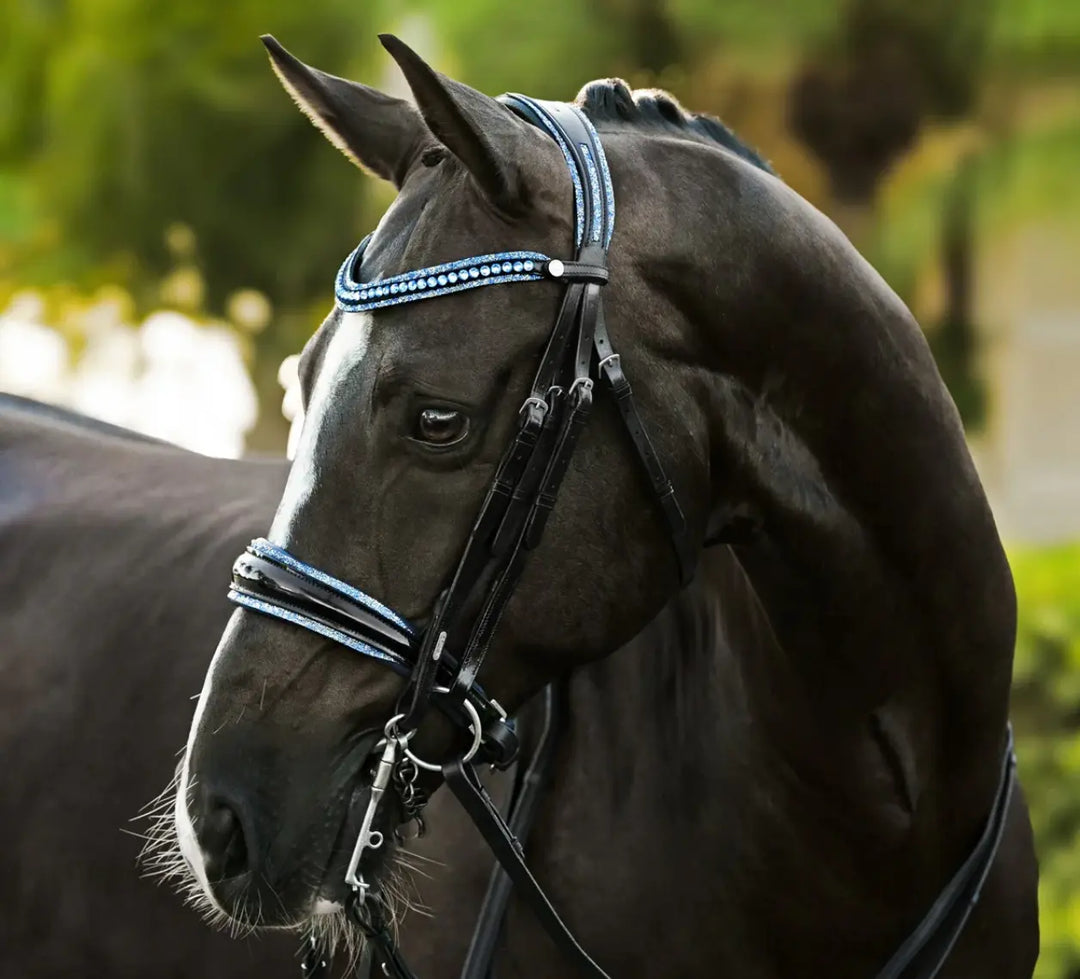 Lumiere Paris Double Bridle