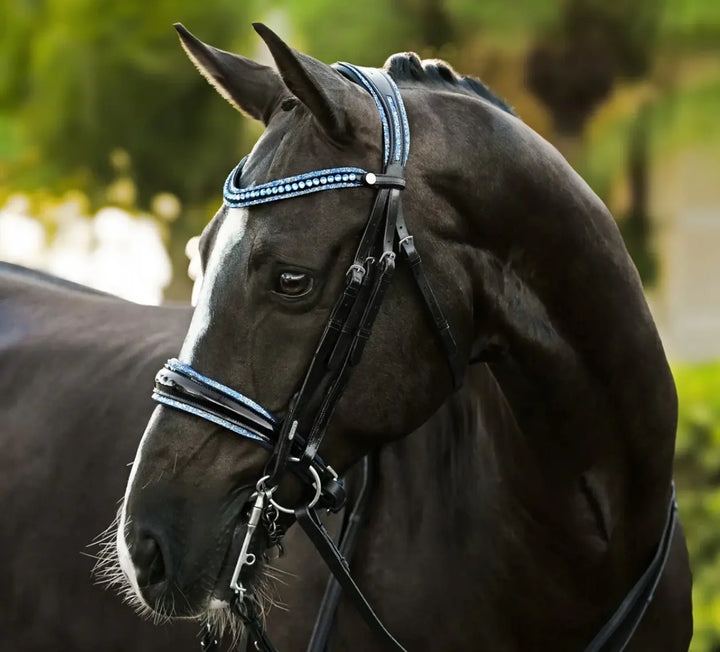 Lumiere Paris Double Bridle