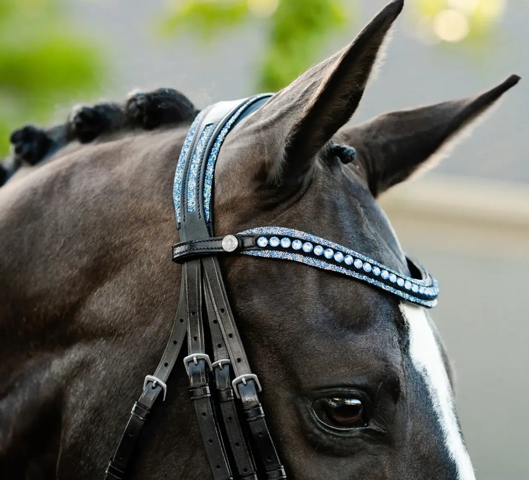 Lumiere Paris Double Bridle