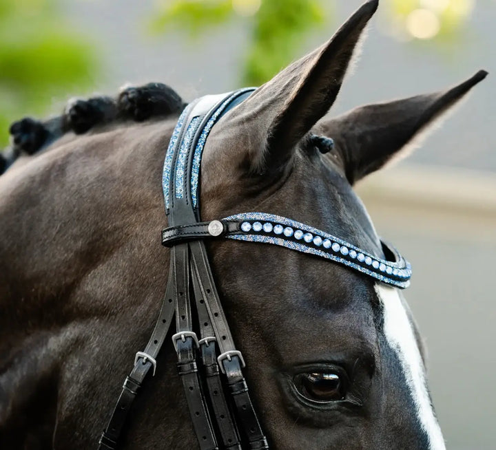 Lumiere Paris Double Bridle