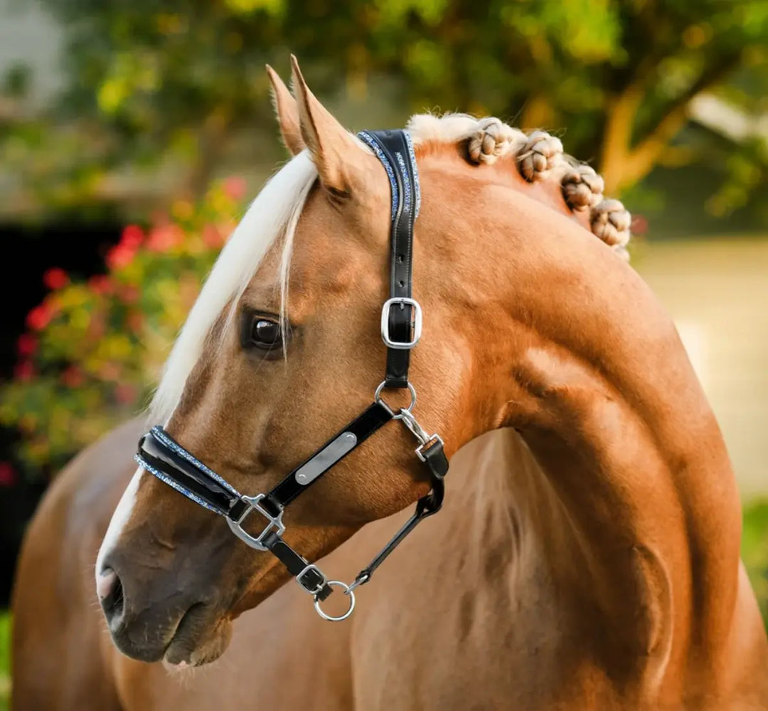 Lumiere Paris Leather Halter