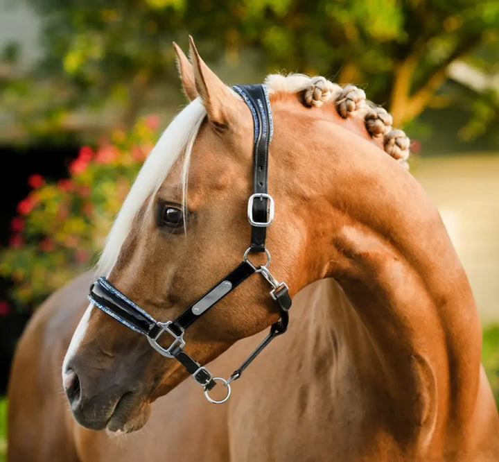 Lumiere Paris Leather Halter