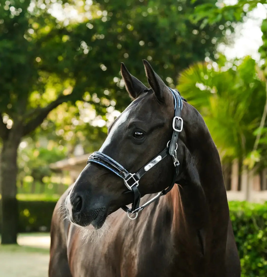 Lumiere Paris Leather Halter