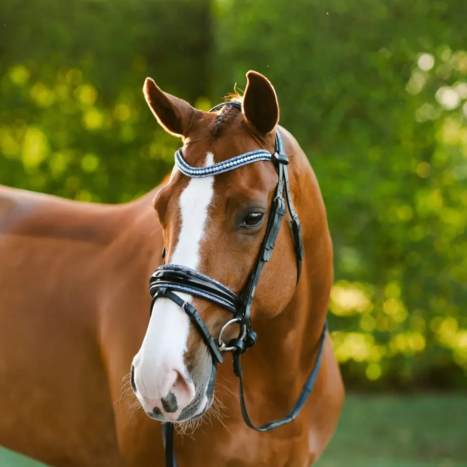 Lumiere Paris Snaffle Bridle