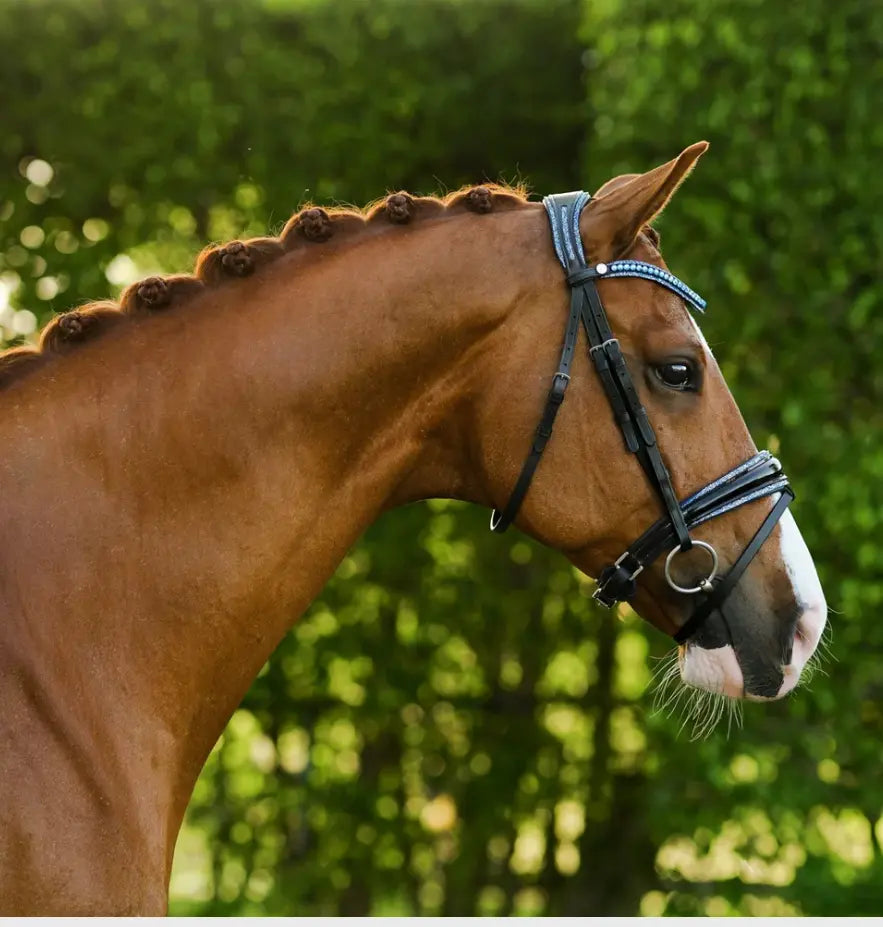 Lumiere Paris Snaffle Bridle