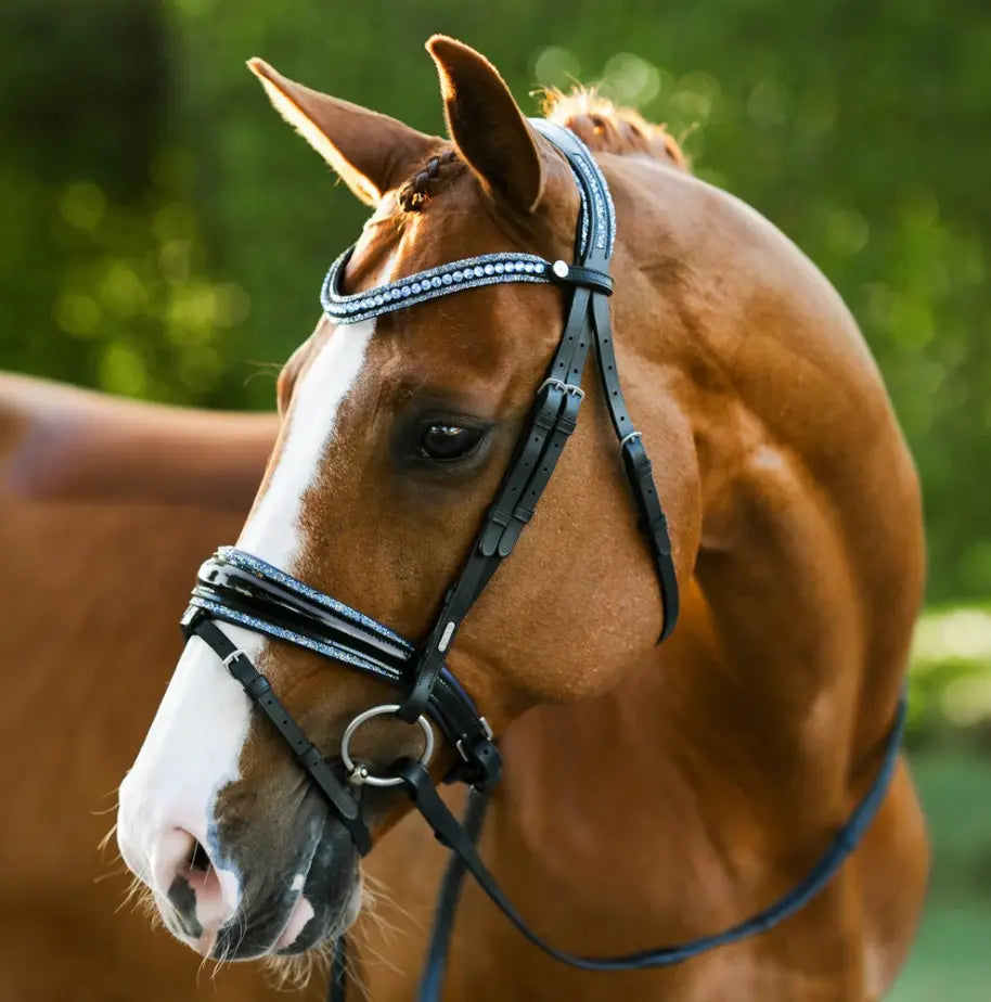 Lumiere Paris Snaffle Bridle