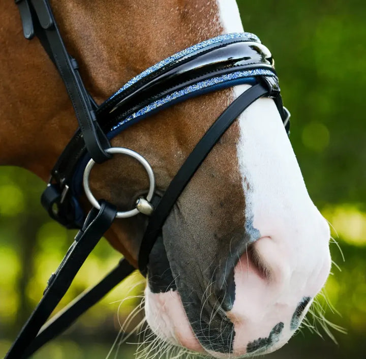 Lumiere Paris Snaffle Bridle