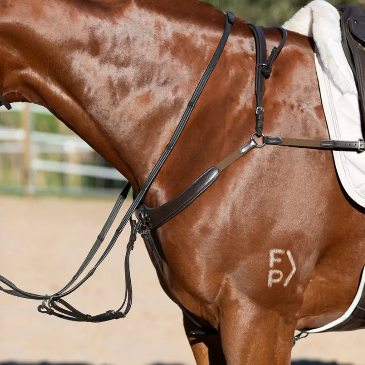 Lumiere Parker Bridge Breastplate +  Detachable Running Martingale