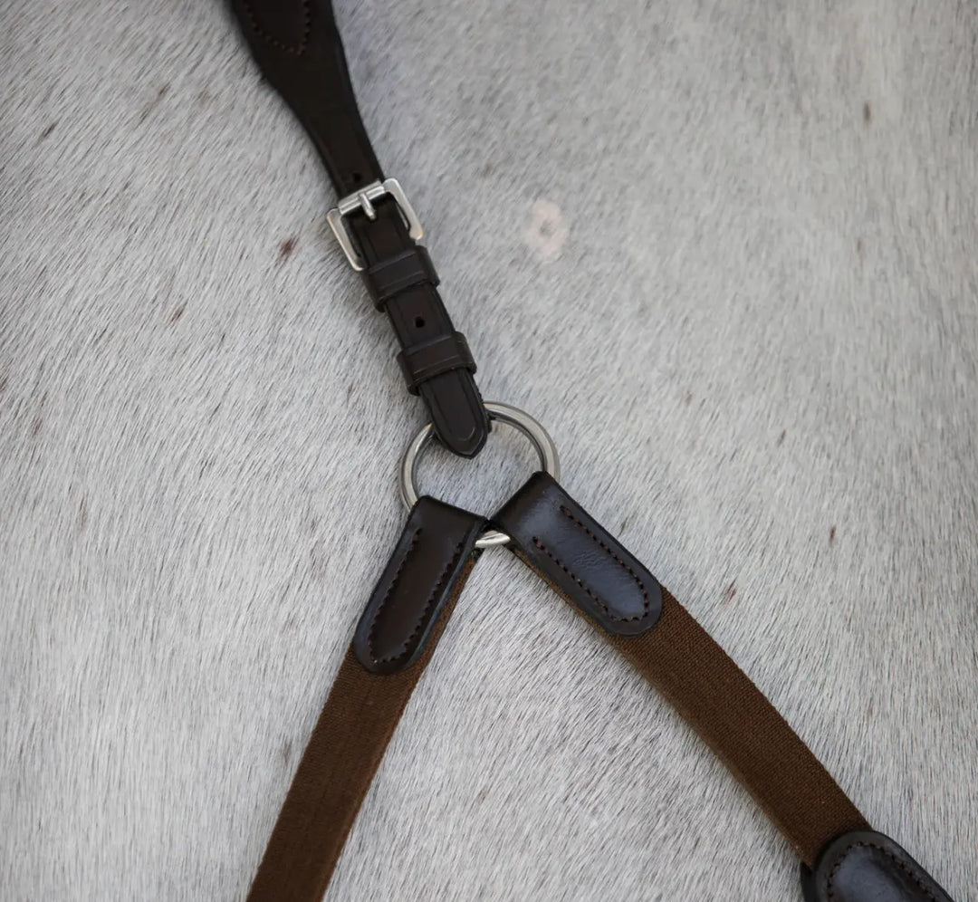 Lumiere Parker Bridge Breastplate +  Detachable Running Martingale