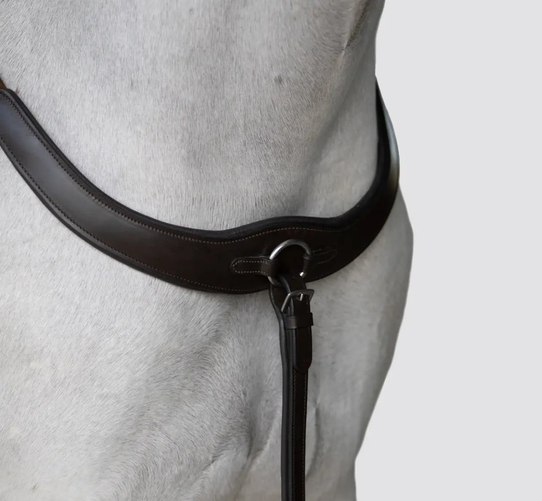 Lumiere Parker Bridge Breastplate +  Detachable Running Martingale