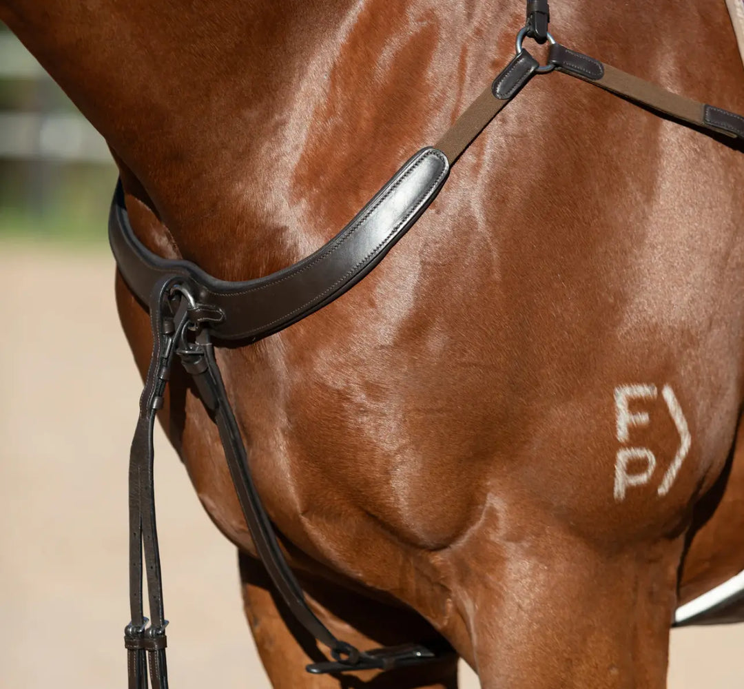 Lumiere Parker Bridge Breastplate +  Detachable Running Martingale