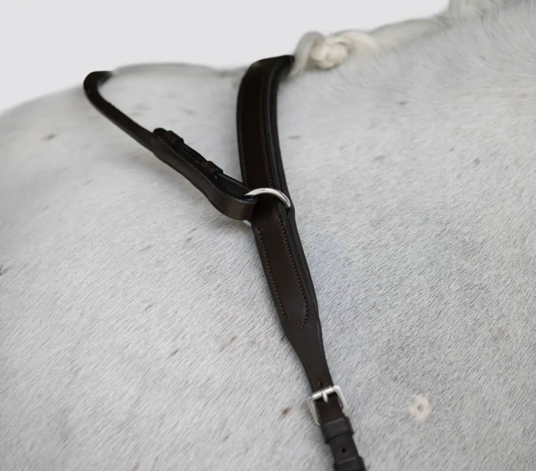 Lumiere Parker Bridge Breastplate +  Detachable Running Martingale