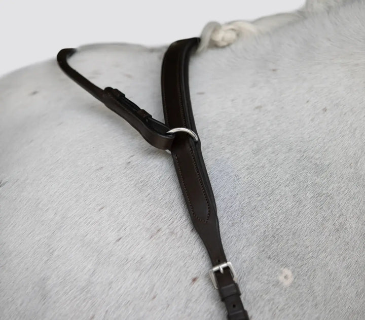 Lumiere Parker Bridge Breastplate +  Detachable Running Martingale