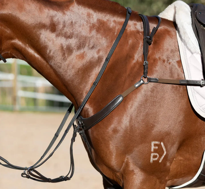 Lumiere Parker Bridge Breastplate +  Detachable Running Martingale