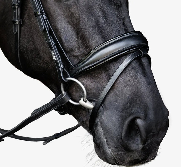 Lumiere Penny Snaffle Bridle with removable flash
