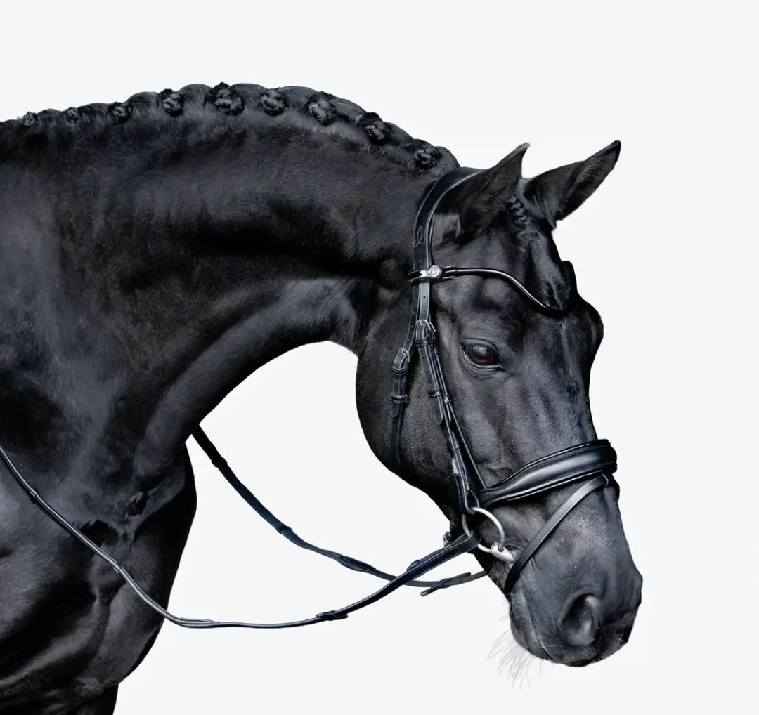 Lumiere Penny Snaffle Bridle with removable flash