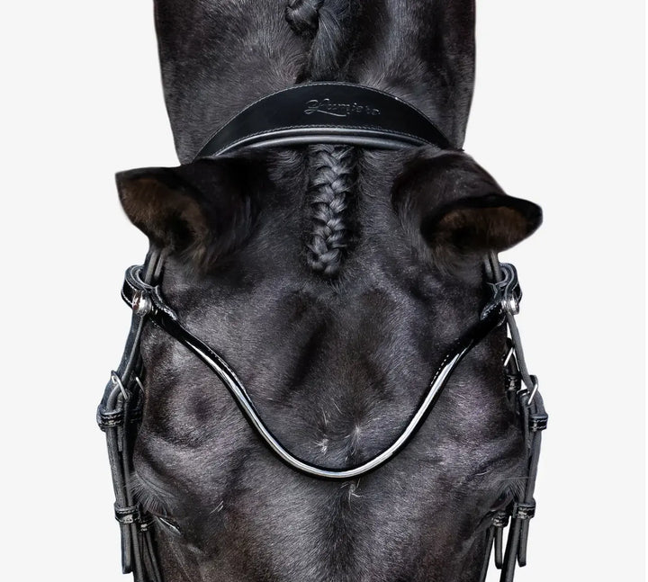 Lumiere Penny Snaffle Bridle with removable flash