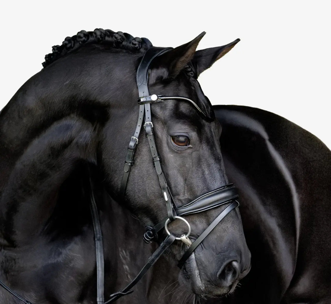 Lumiere Penny Snaffle Bridle with removable flash