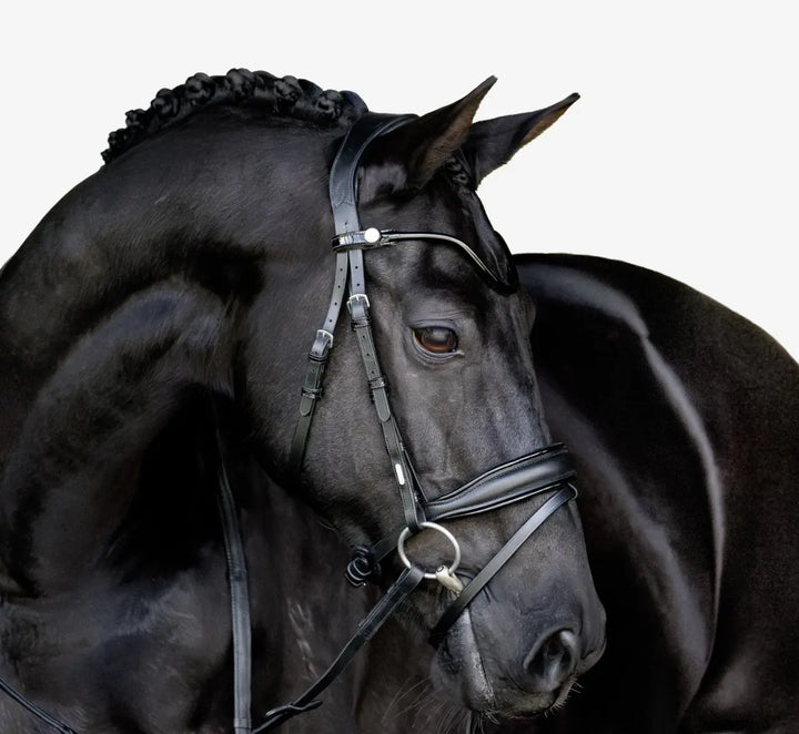 Lumiere Penny Snaffle Bridle with removable flash