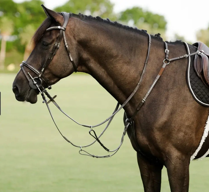 Lumiere Perseus Breastplate with Running Martingale