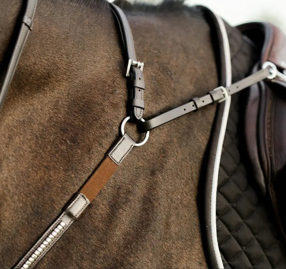 Lumiere Perseus Breastplate with Running Martingale