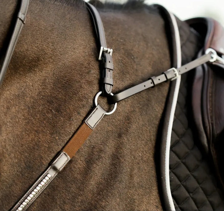 Lumiere Perseus Breastplate with Running Martingale