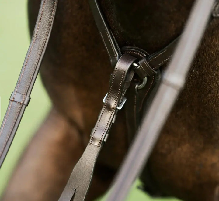 Lumiere Perseus Breastplate with Running Martingale