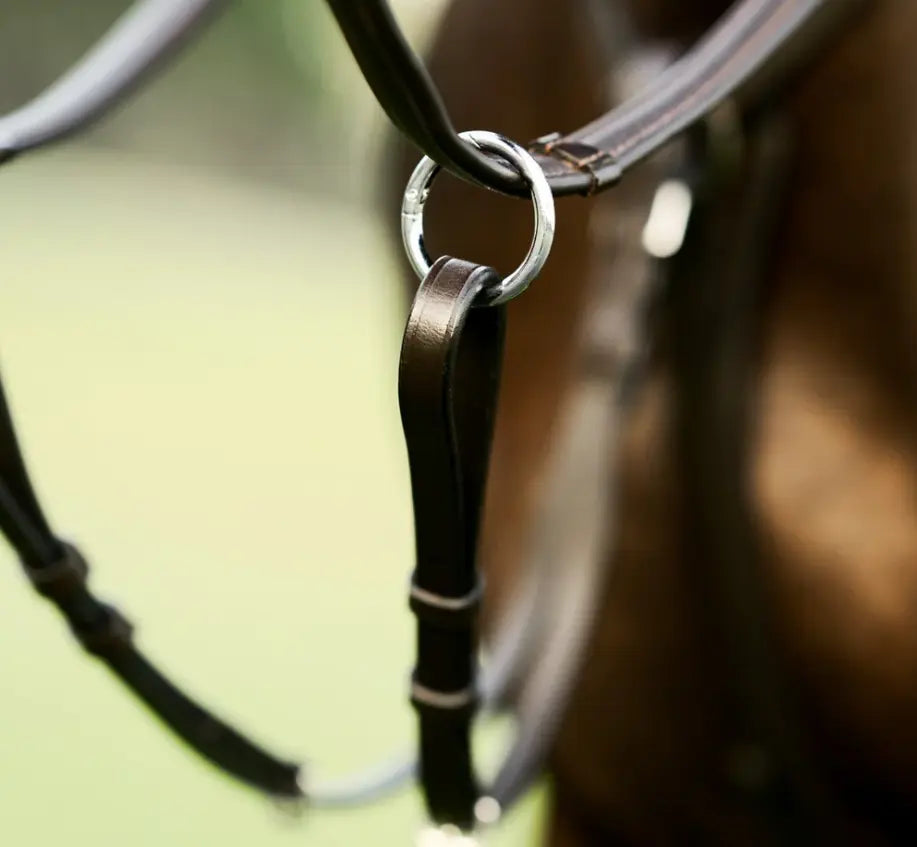 Lumiere Perseus Breastplate with Running Martingale