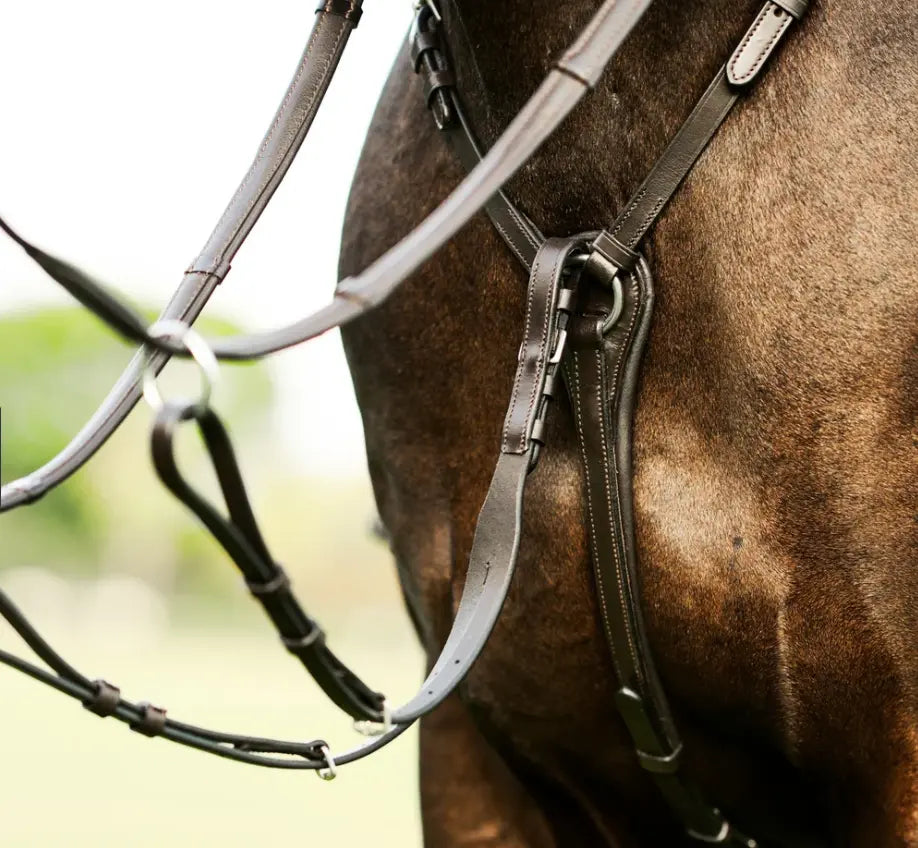 Lumiere Perseus Breastplate with Running Martingale