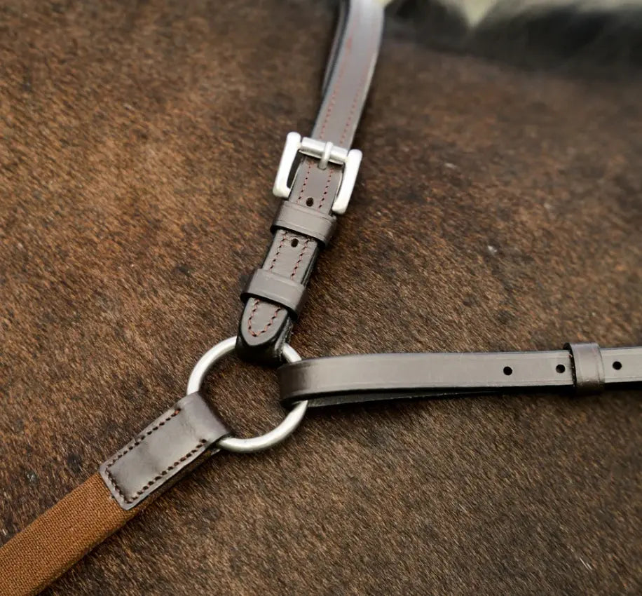 Lumiere Perseus Breastplate with Running Martingale