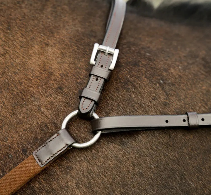 Lumiere Perseus Breastplate with Running Martingale