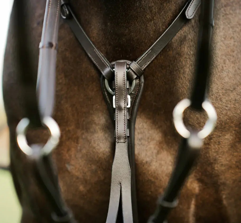 Lumiere Perseus Breastplate with Running Martingale