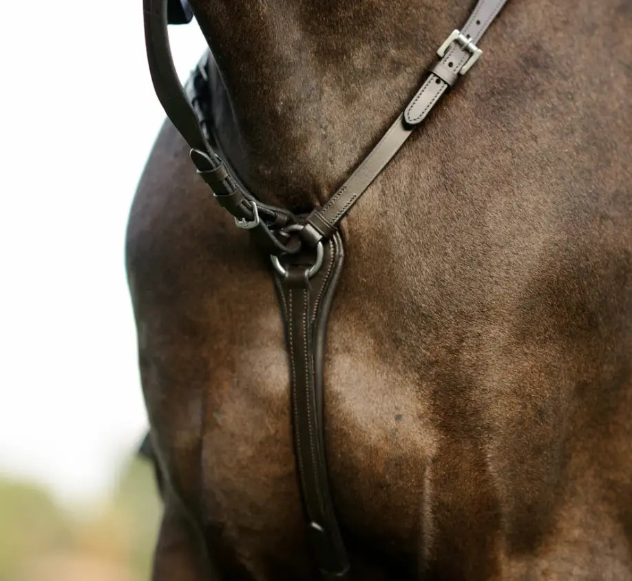 Lumiere Perseus Breastplate with Running Martingale