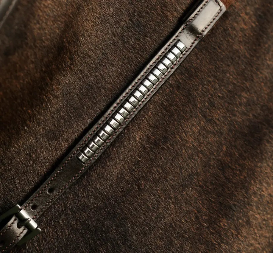 Lumiere Perseus Breastplate with Running Martingale