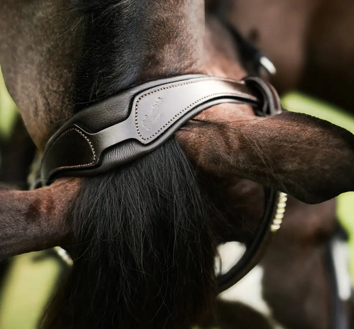 Lumiere Perseus Convertible Bridle