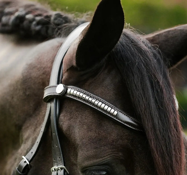 Lumiere Perseus Convertible Bridle