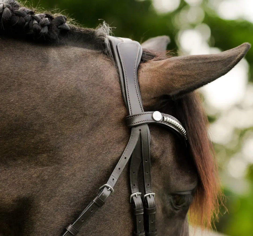 Lumiere Perseus Convertible Bridle