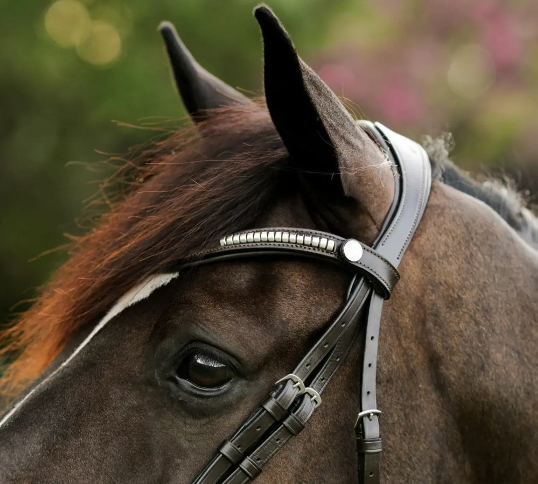 Lumiere Perseus Convertible Bridle